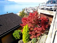 20171025 111449  25 October burning bush above the lake