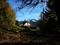 20171025 145352  Swiss calendar fodder