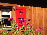 IMG 5883  flowers at train crossing below Caux