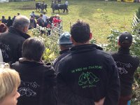 IMG 5852  team spirit