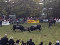 IMG 5865  But then the human managers let mother nature take over