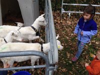 IMG 5877  And another generation to get familiar with different species of farm animals