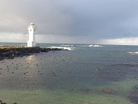 20170921 084008  birds sheltering behind the breakwater