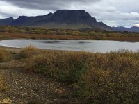 IMG 3088  landscape - a wet Nevada