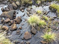 IMG 3159  streamscape