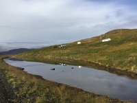 IMG 3173  reflections