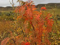 IMG 3195  mountain as