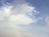 IMG 3230  and persisted...