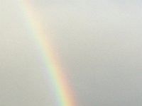 IMG 3231  and persisted...