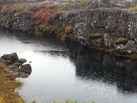 20170924 100112  note the ripples from raindrops