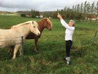 IMG 3179  horsemistress