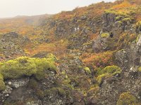 IMG 3261  Taken with NightCap