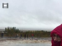 IMG 3266  in action.