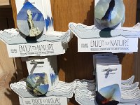 IMG 3271  more realistic