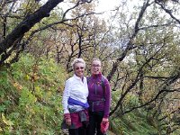 20170925 085251  the hikers