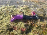 20170925 101856  close examination of sphagnum