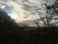 IMG 3313  We started in a dwarf birch forest