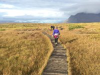 IMG 3348a  boardwalk