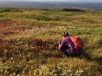 IMG 3349  vegetation studies