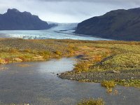 IMG 3357  leaving the area