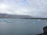 IMG 3367  this lagoon has amphibious vehicles to take you close to the icebergs