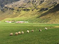 IMG 3373a  Standard view