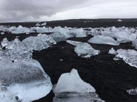 IMG 3382  in all kinds of shapes