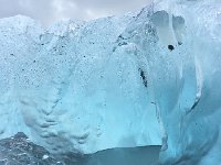 IMG 3405  These forms are amazing!