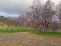 20170926 074855  This is the National Forest...