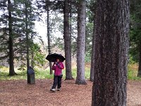 20170926 094338  Visiting the arboretum sous pluie