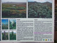 20170926 144329  A &#34;prolonged cold spell&#34;