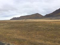 IMG 3404  Taken with NightCap