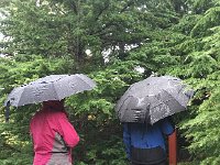 IMG 3569  reading the signs