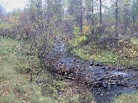 IMG 3572  stream panorama