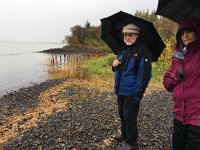 IMG 3581  along the lake Lagarfjolt