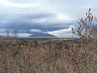 IMG 3685  cinder cone from Dimmuborgir