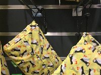 IMG 3761  stuff for sale