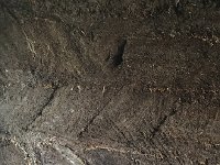 IMG 3833  turf/peat as insulation