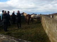 20170929 131029  some of the people who do the sorting