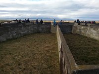 20170929 131048  the pens into which the horses will be sorted