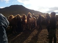 20170929 132421  face off