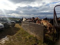 20170929 134932  binned up