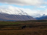 20170929 141454  gullies