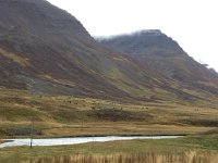 IMG 3482  horses to be wrangled