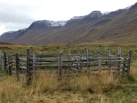 IMG 3486  corral with Christine in the field