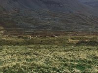 IMG 3489  riders headed up valley