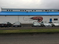 IMG 3877  North Coast Surrealism