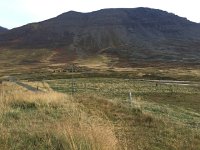 IMG 3888  see https://youtu.be/TxoeKSdrivc for roundup