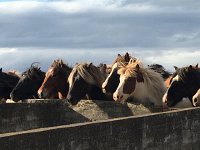 IMG 3929  rounded up