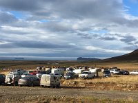 IMG 3943  horses and vehicle roundup